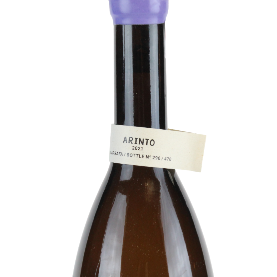 Penetra Arinto
